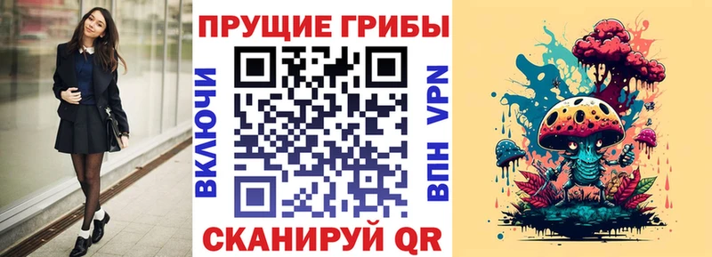 Купить где  Сыктывкар  Галлюциногенные грибы прущие грибы 